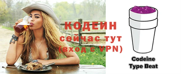 хмурый Семилуки