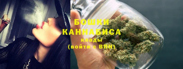 сатива Семикаракорск