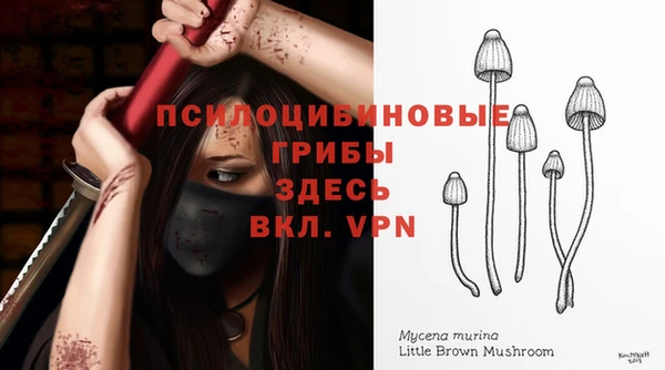 хмурый Семилуки