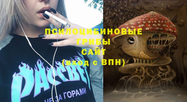 сатива Семикаракорск