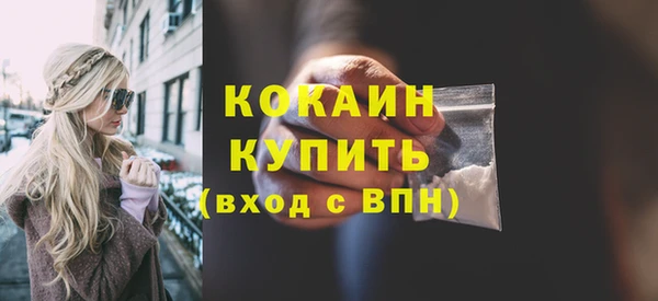 хмурый Семилуки