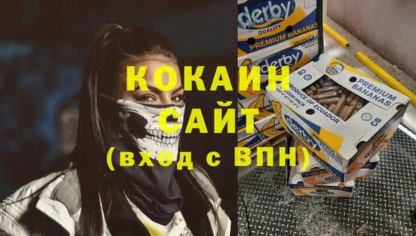 хмурый Семилуки